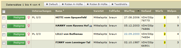 suche-braun-welpen.png suche-braun-welpen.png